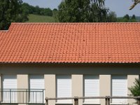 ROMANE ROUGE